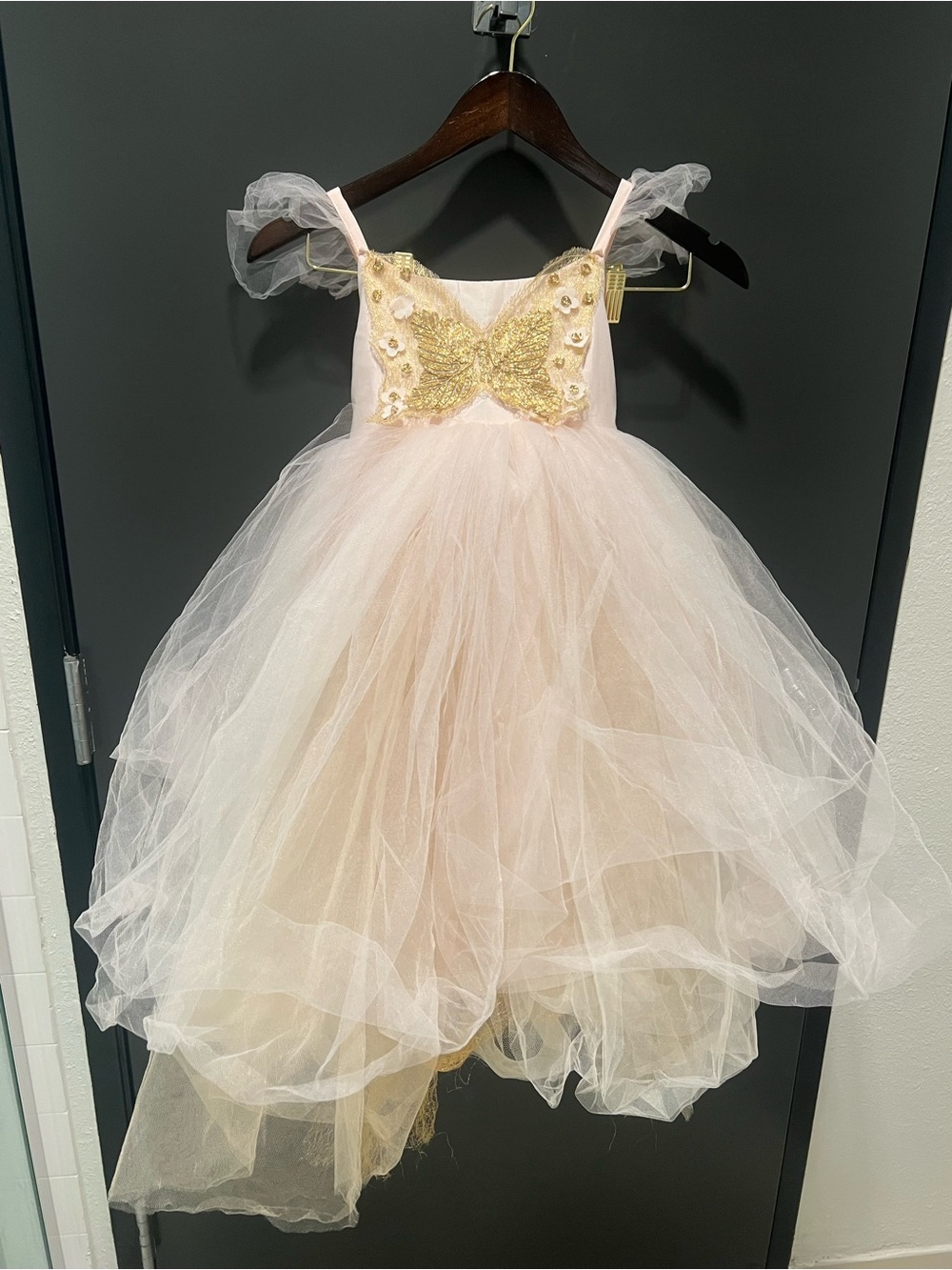Pottery Barn Kids Pink Butterfly Fairy Dress Tulle Size 4